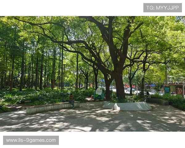 龙华区开展赛事通道环境整治,新增绿化超3万平方米 龙华区开展赛事通道环境整治,新增绿化超3万平方米