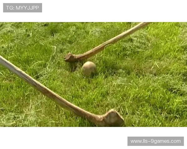 达斡尔族贝阔与现代曲棍球高度相似，成文化传承活化石